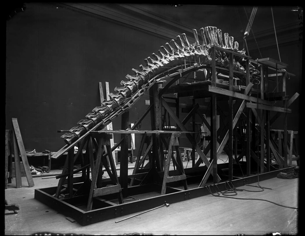 The Technology That Changed Everything (image credits: flickr)
