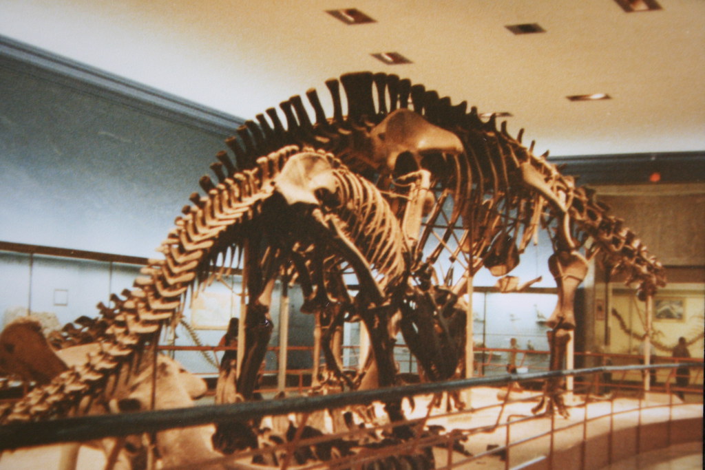 The Research That Shocked the World (image credits: flickr)