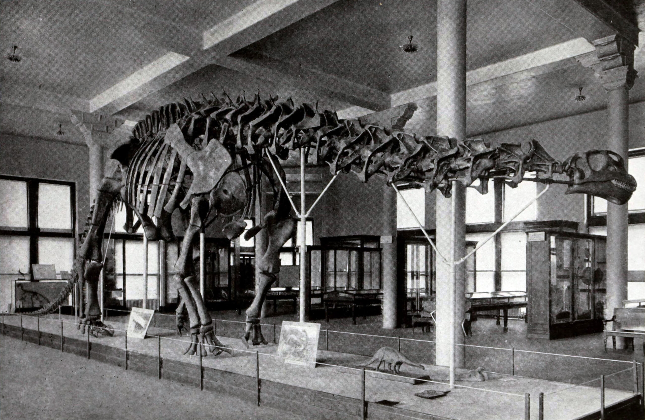 The Anatomy of Distinction (image credits: wikimedia)