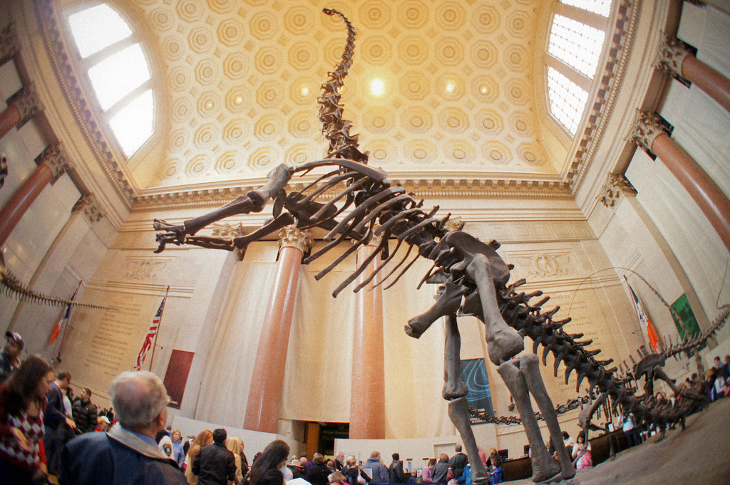 The Lasting Impact on Science Education (image credits: flickr)