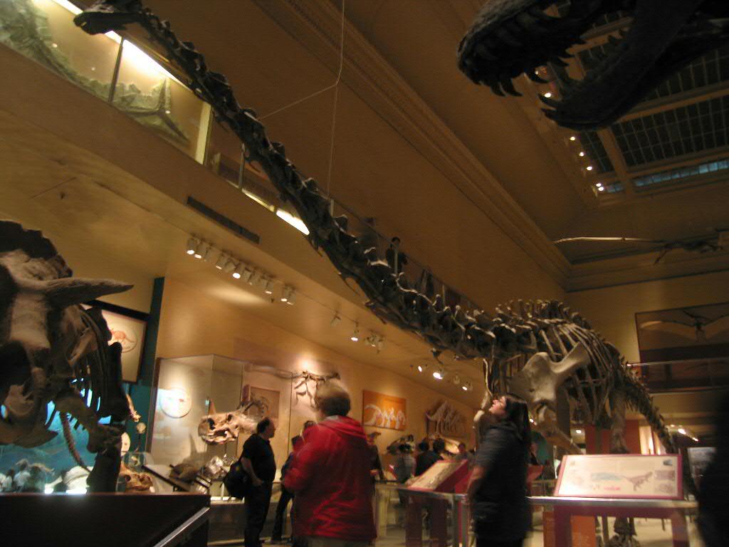 Brontosaurus is Back—But Should It Be? The Ongoing Debate Explained