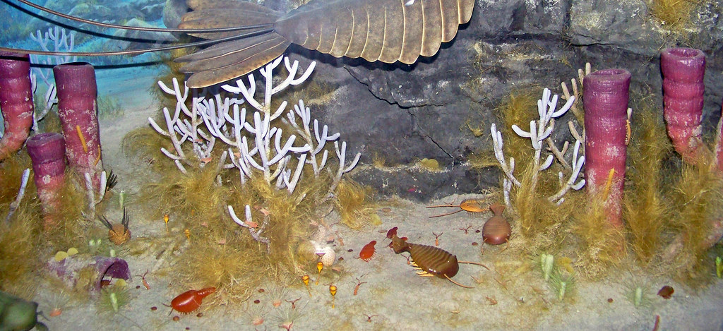 The Burgess Shale: Earth's Weirdest Prehistoric Creatures