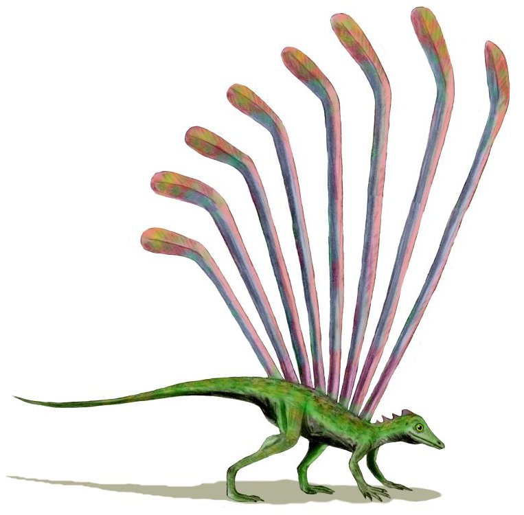 Longisquama: The Ribbon-Winged Enigma (image credits: wikimedia)