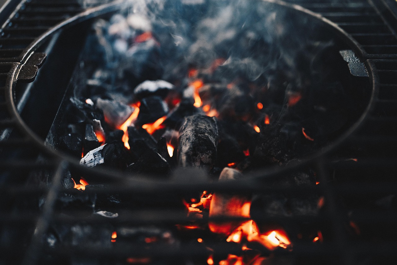 Coal Formation: From Swamp to Energy (image credits: pixabay)
