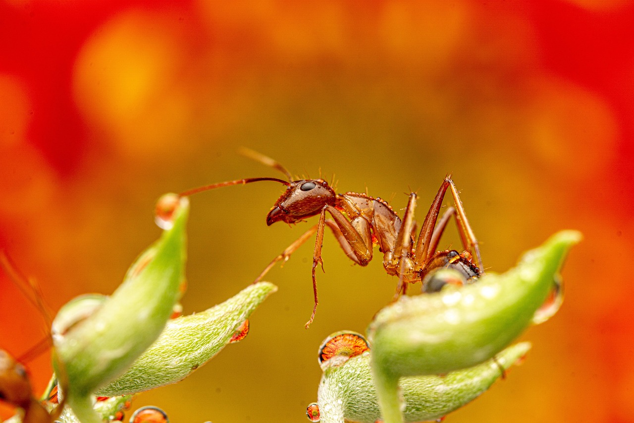 Predator-Prey Relationships in Ancient Swamps (image credits: pixabay)