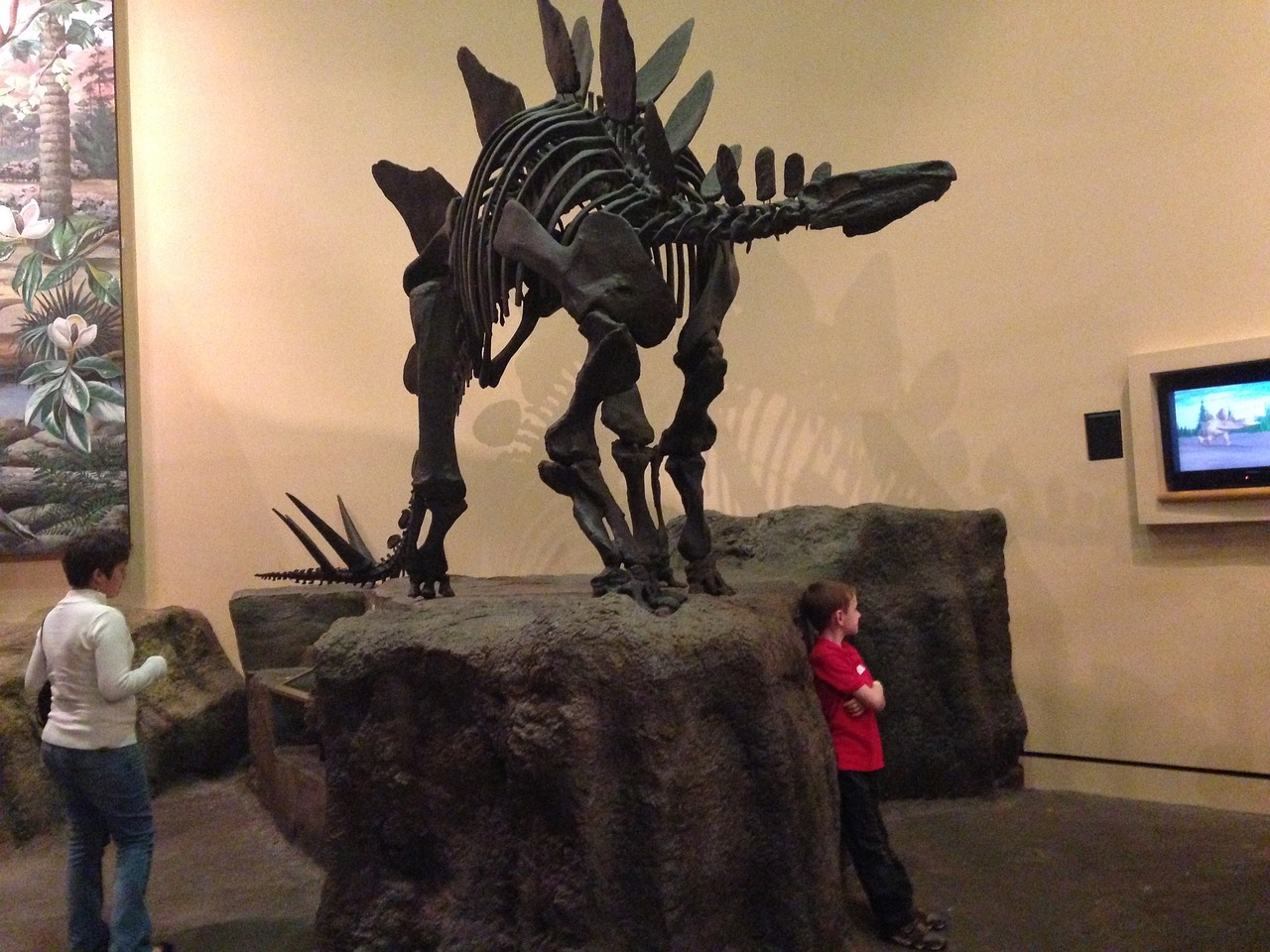 The Thagomizer: Nature's Medieval Mace (image credits: pixabay)