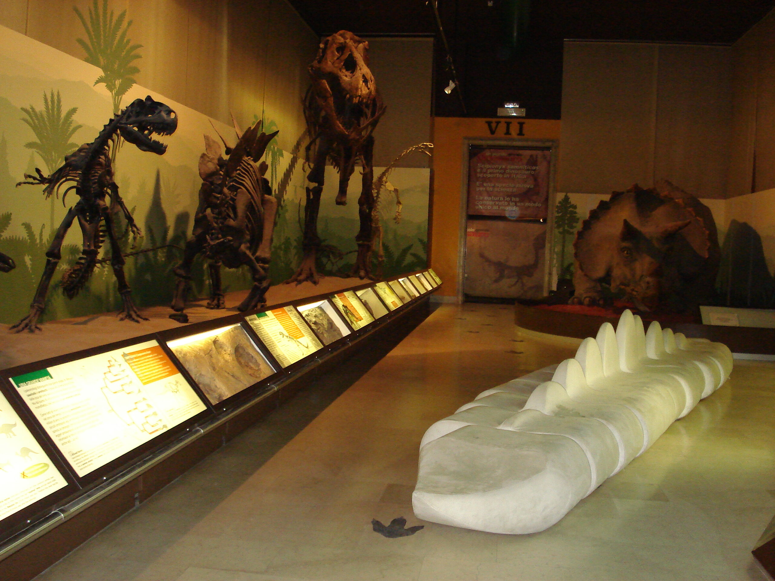 Modern Implications: Lessons from Ancient Warfare (image credits: wikimedia)