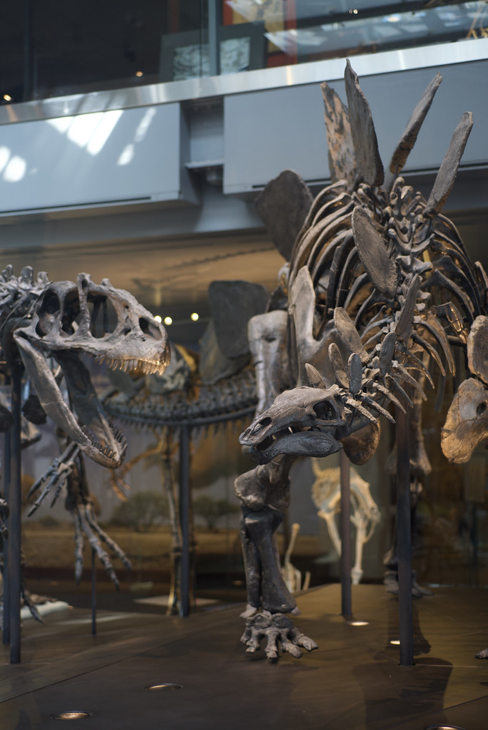 Legacy of the Jurassic Arms Race (image credits: flickr)