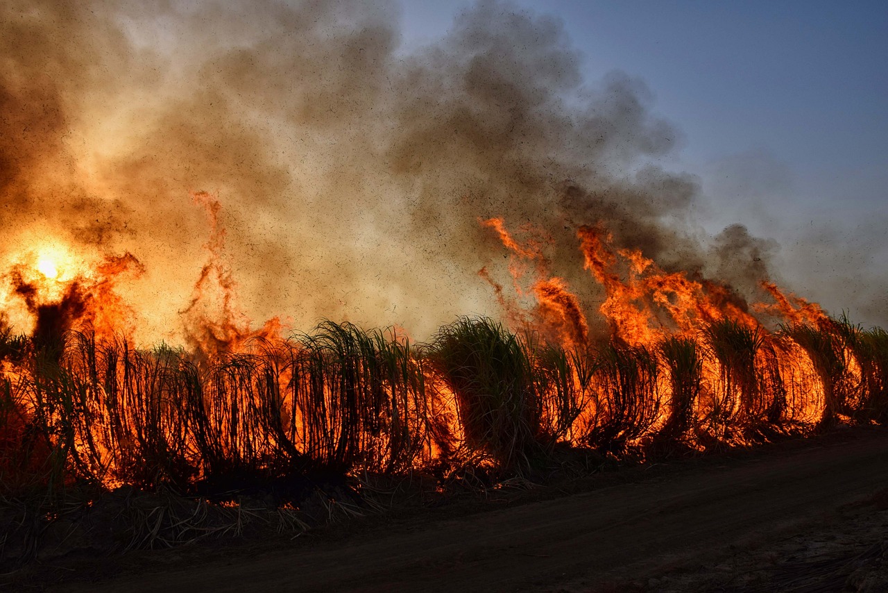 The Fireball Expands: Temperatures Soar Globally (image credits: pixabay)