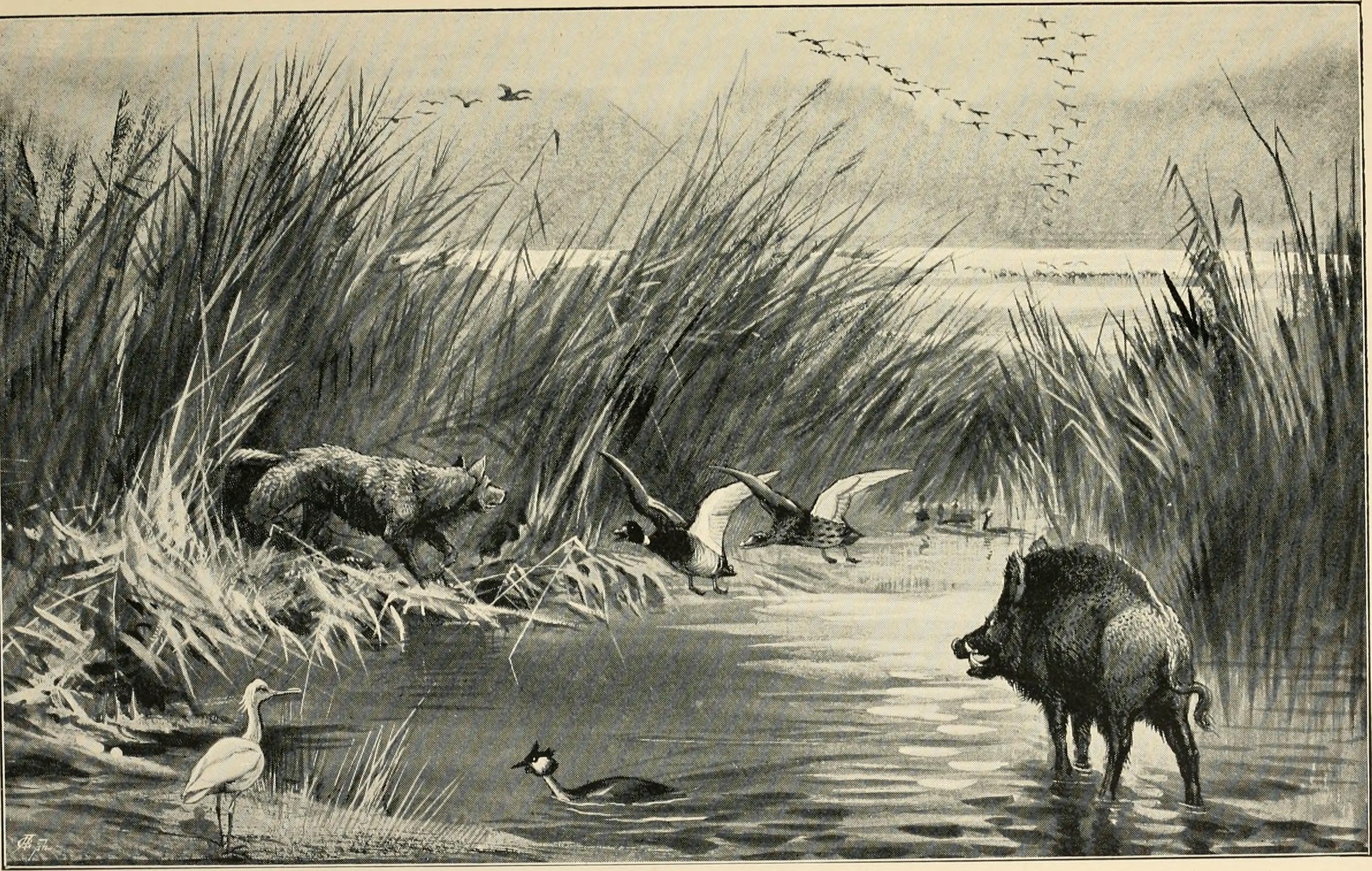 Ancient Mongolia's Aquatic Paradise (image credits: wikimedia)