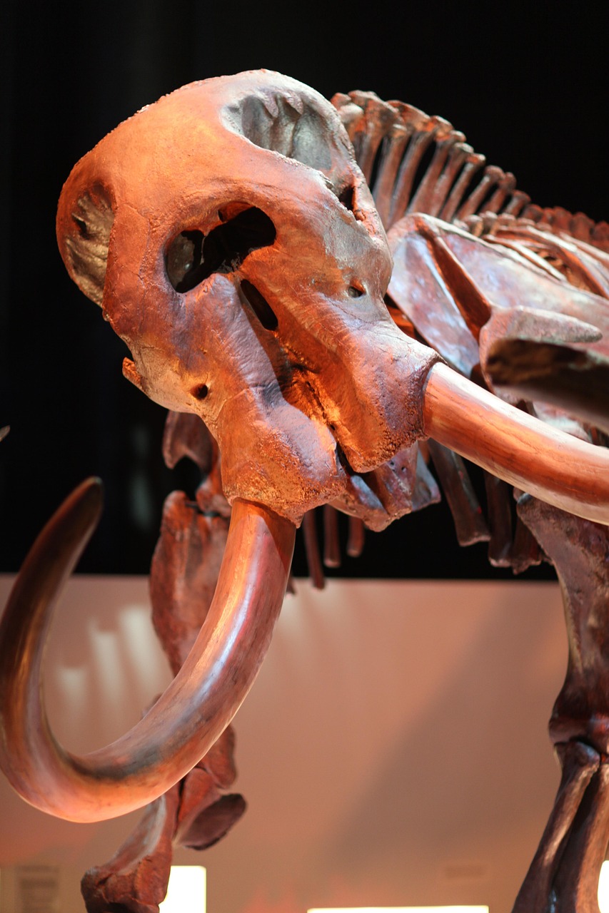 What These Ancient Genes Actually Revealed (image credits: pixabay)