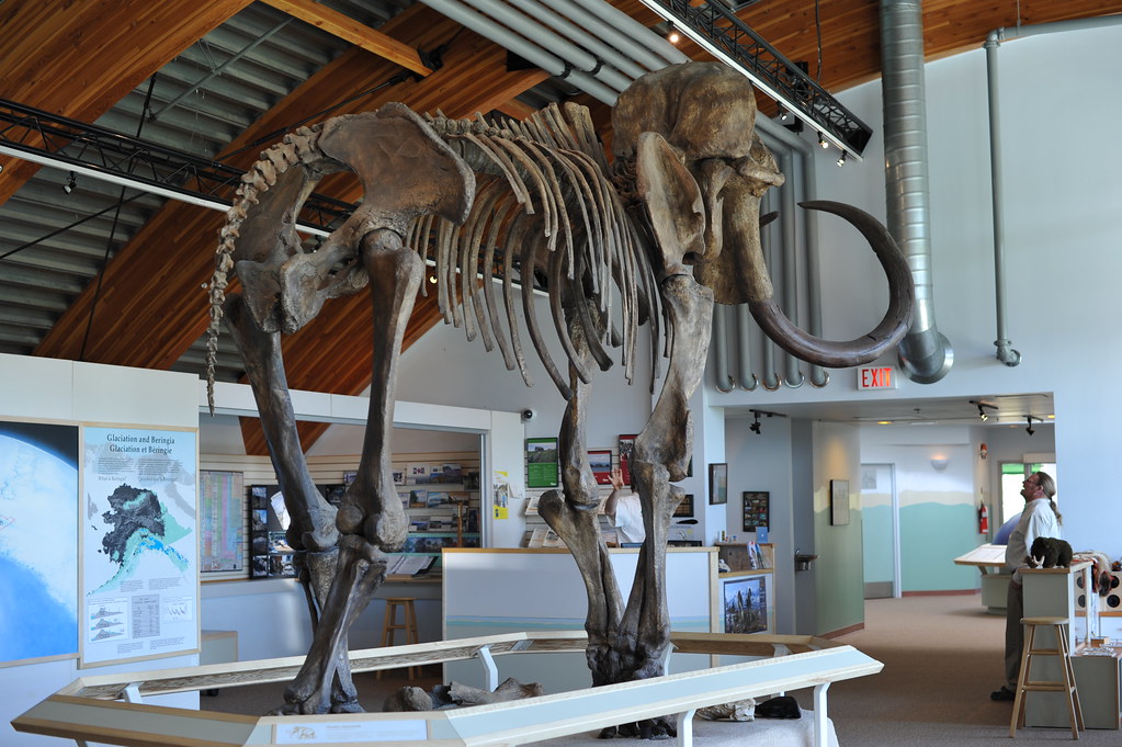 The Oldest DNA Ever Found—and Why It Had Nothing to Do With Dinosaurs