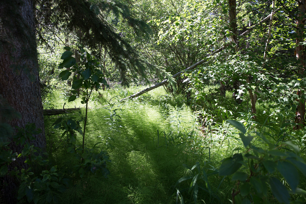 Adaptation Strategies: Surviving in a Greenhouse World (image credits: flickr)
