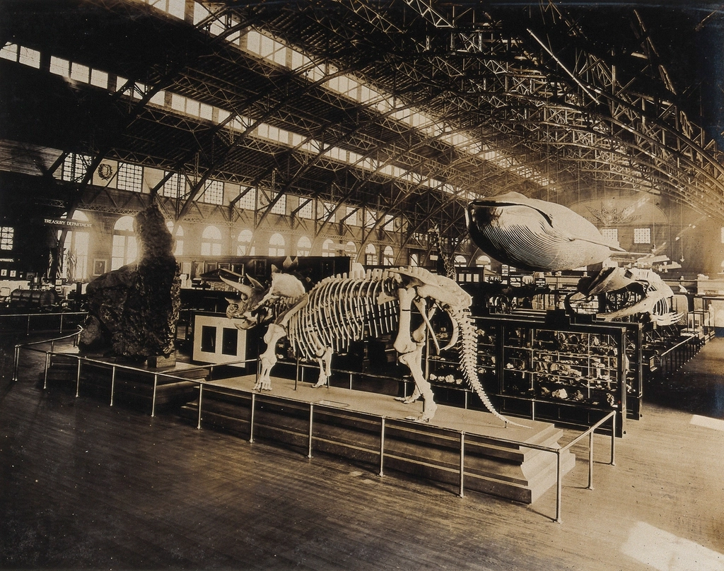 Impact on Museums and Education (image credits: rawpixel)