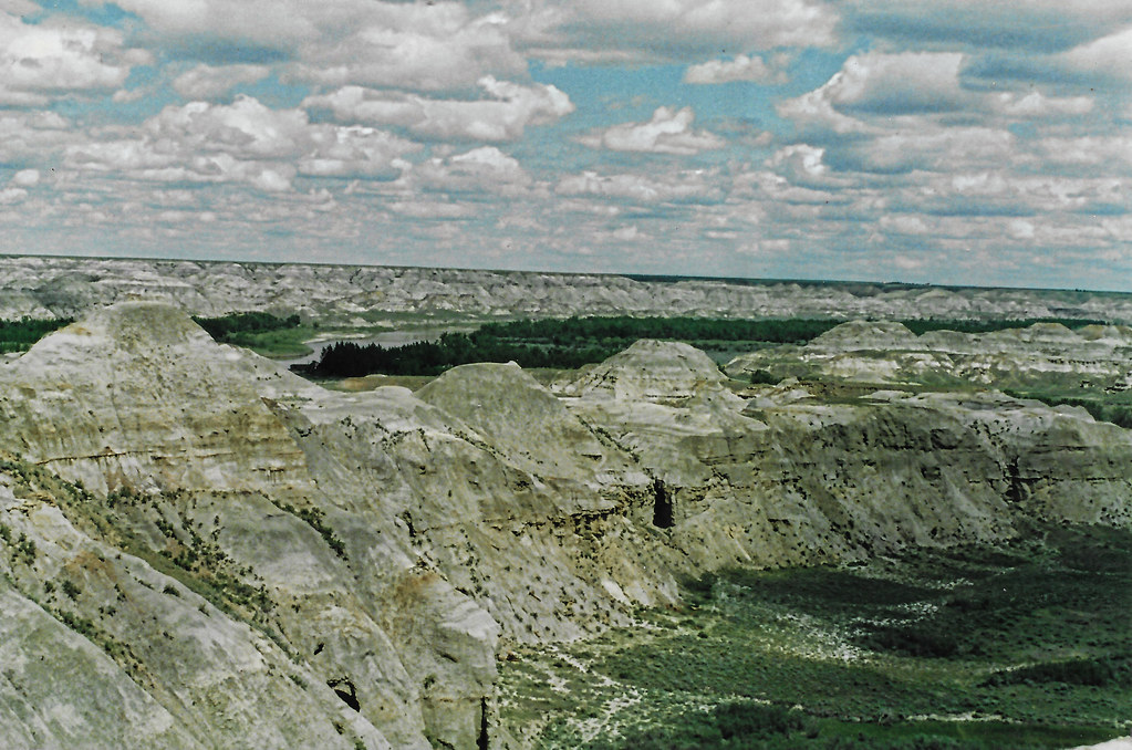 Environmental Factors That Influenced Dinosaur Sleep (image credits: flickr)