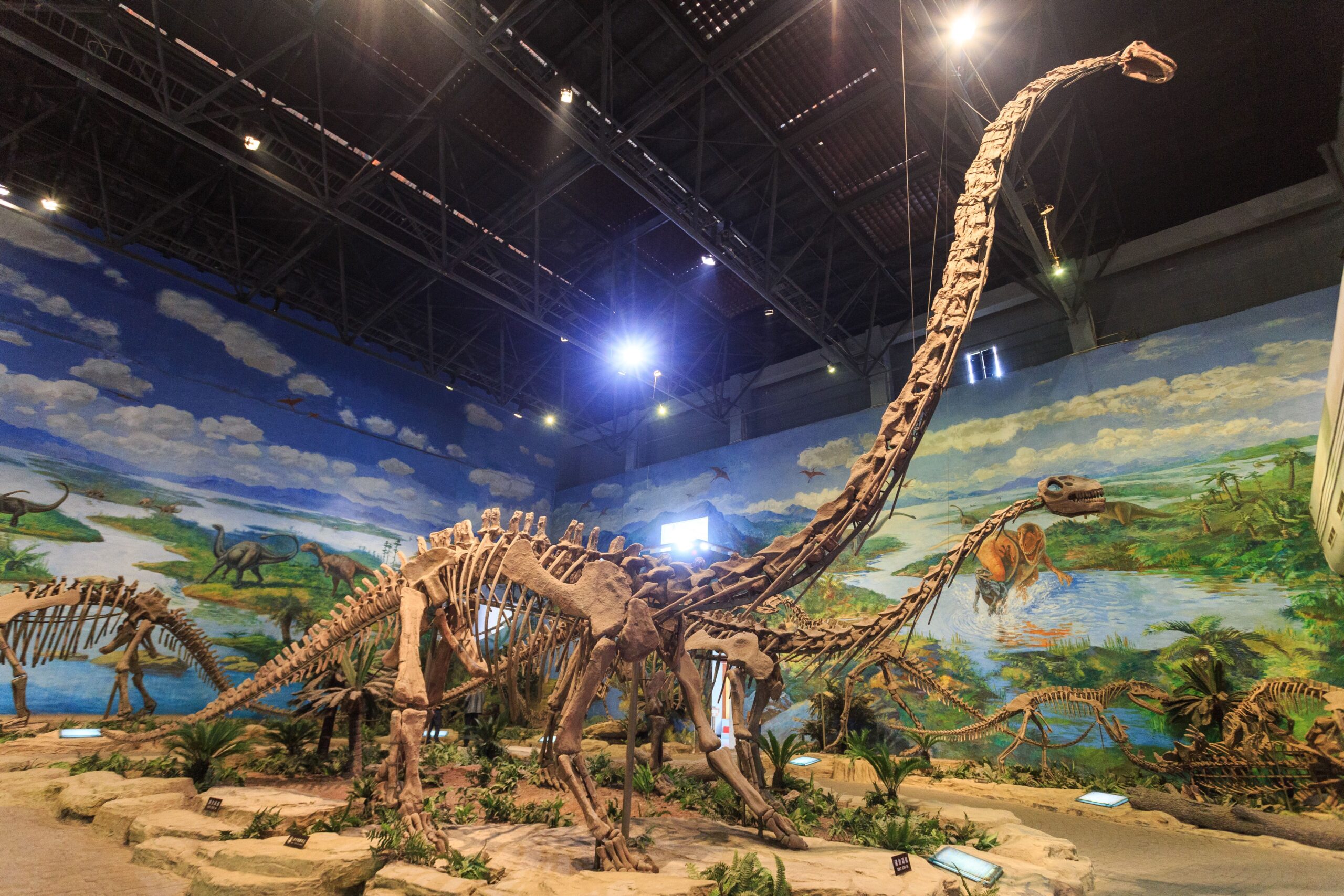 The Record-Breaking Neck That Stunned Scientists (image credits: wikimedia)
