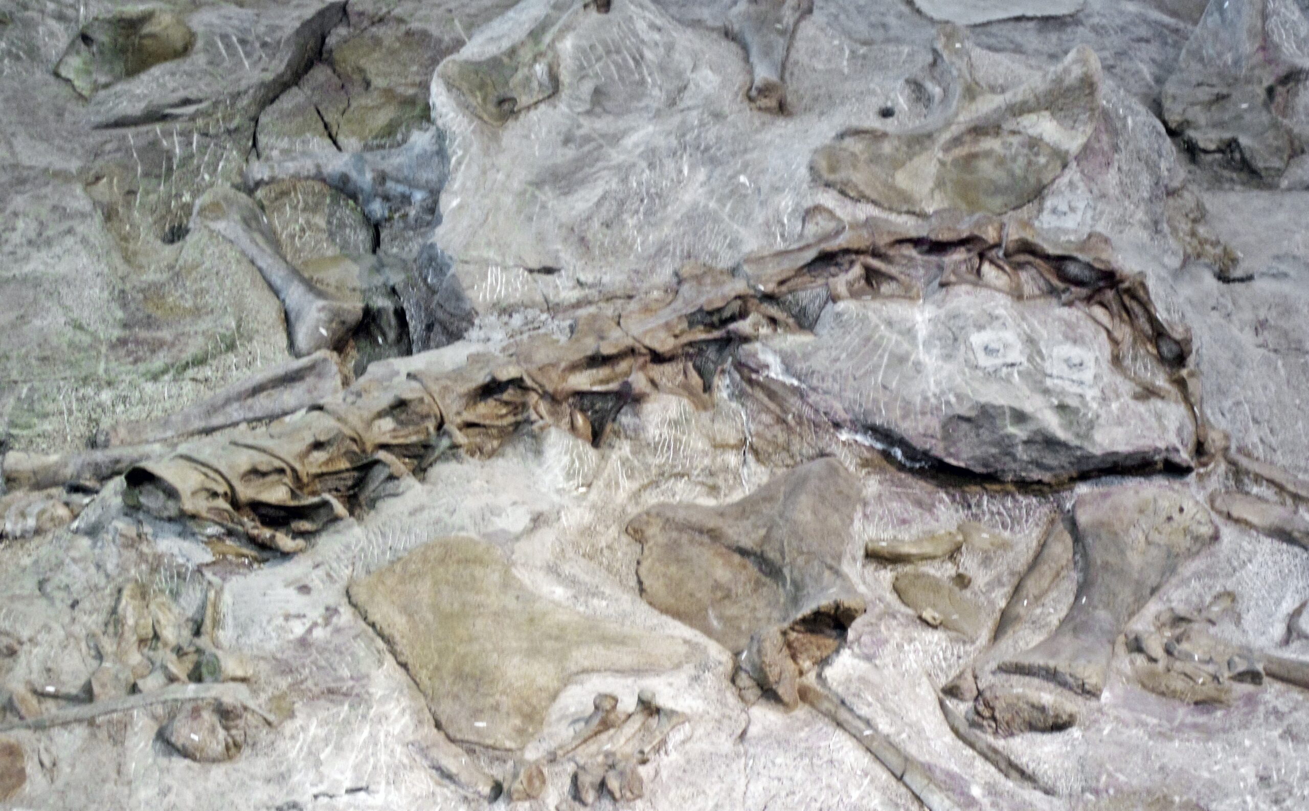 Ancient China's Towering Giant (image credits: wikimedia)