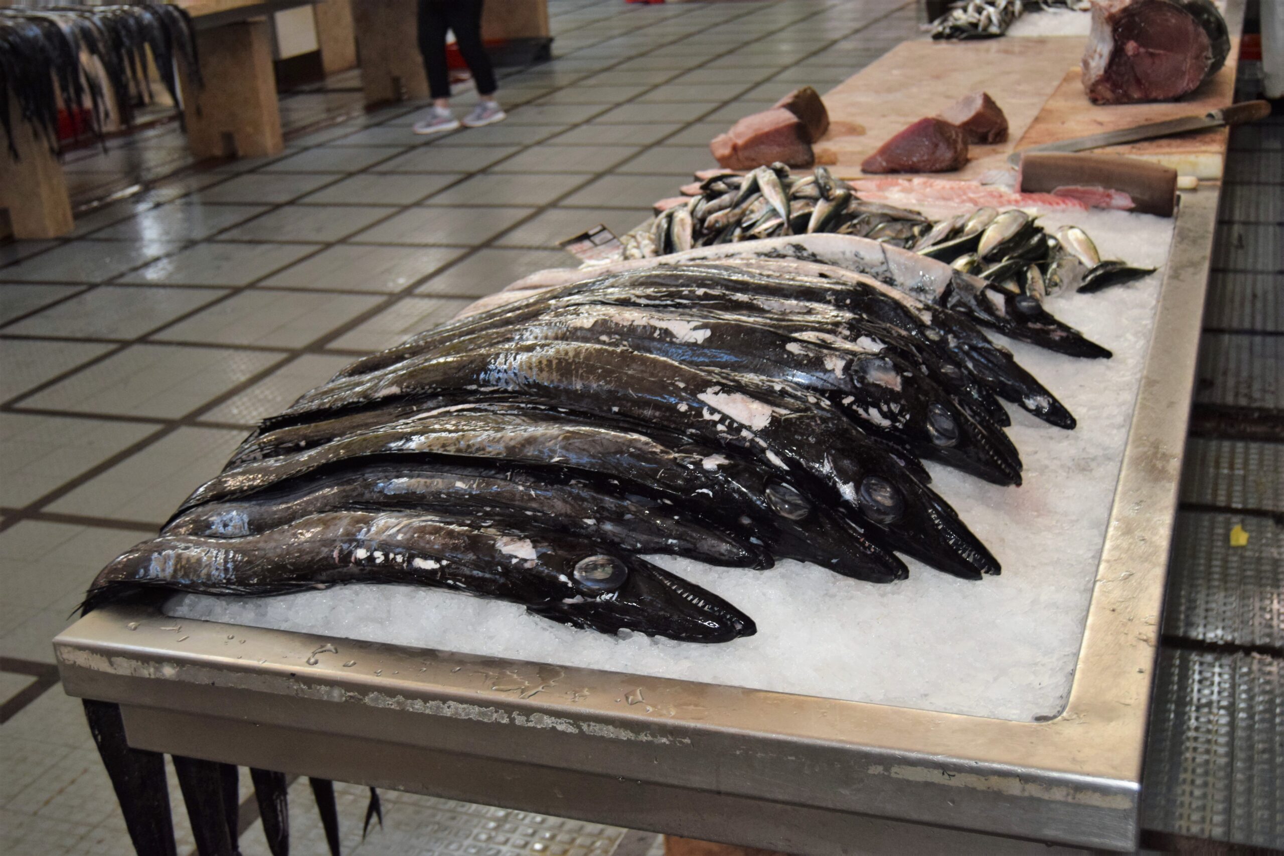 The Slickhead Fish: Bone Interior Specialists (image credits: wikimedia)