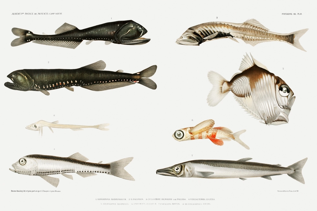 Future Research and Discoveries (image credits: rawpixel)