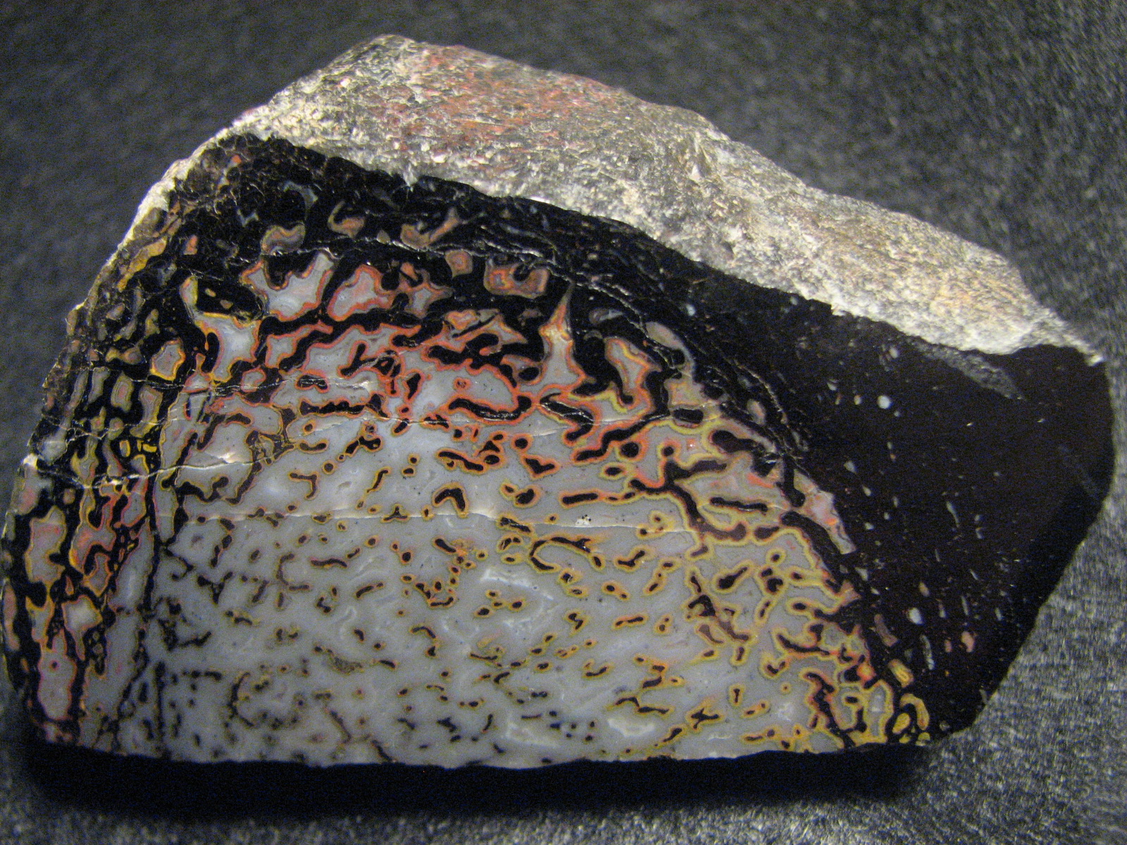 Modern Discoveries Reshaping Our Understanding (image credits: wikimedia)