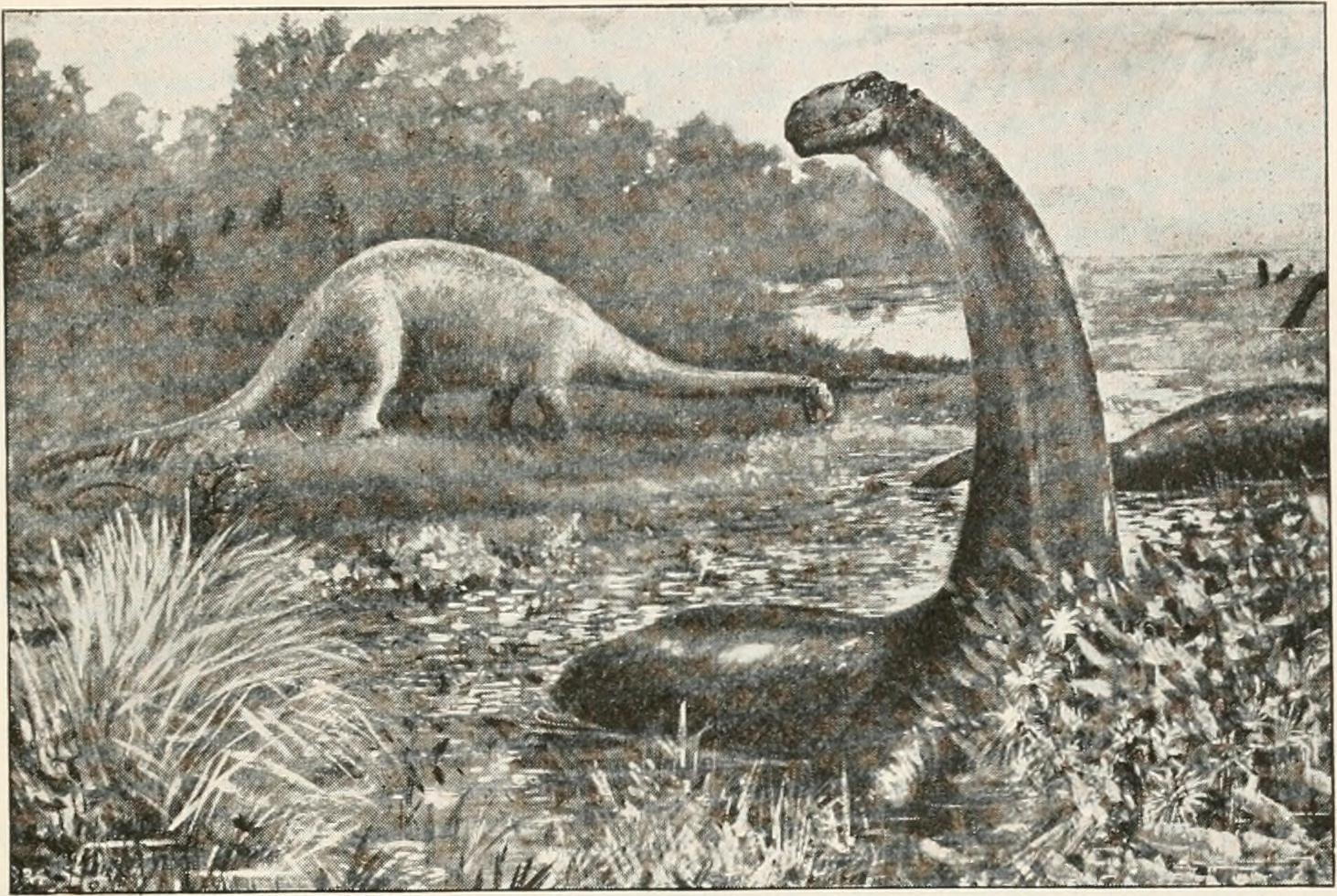 New Food Sources Transform Dinosaur Diets (image credits: wikimedia)
