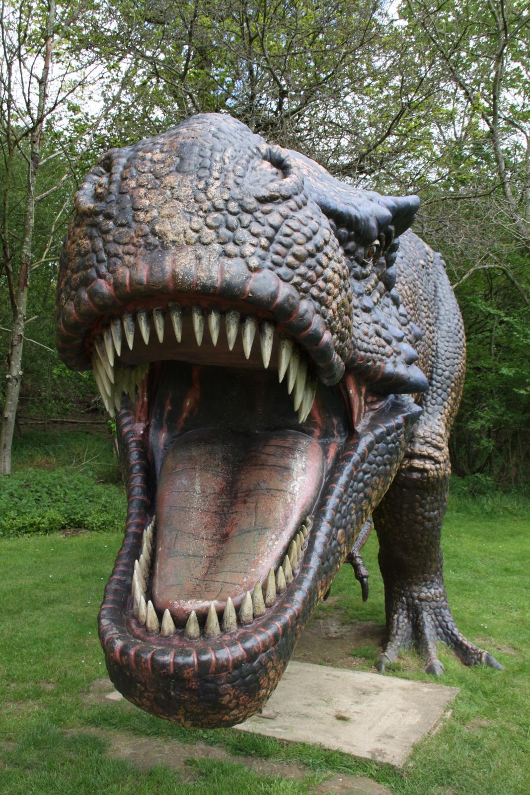Social Dinosaurs vs. Solitary Predators (image credits: wikimedia)