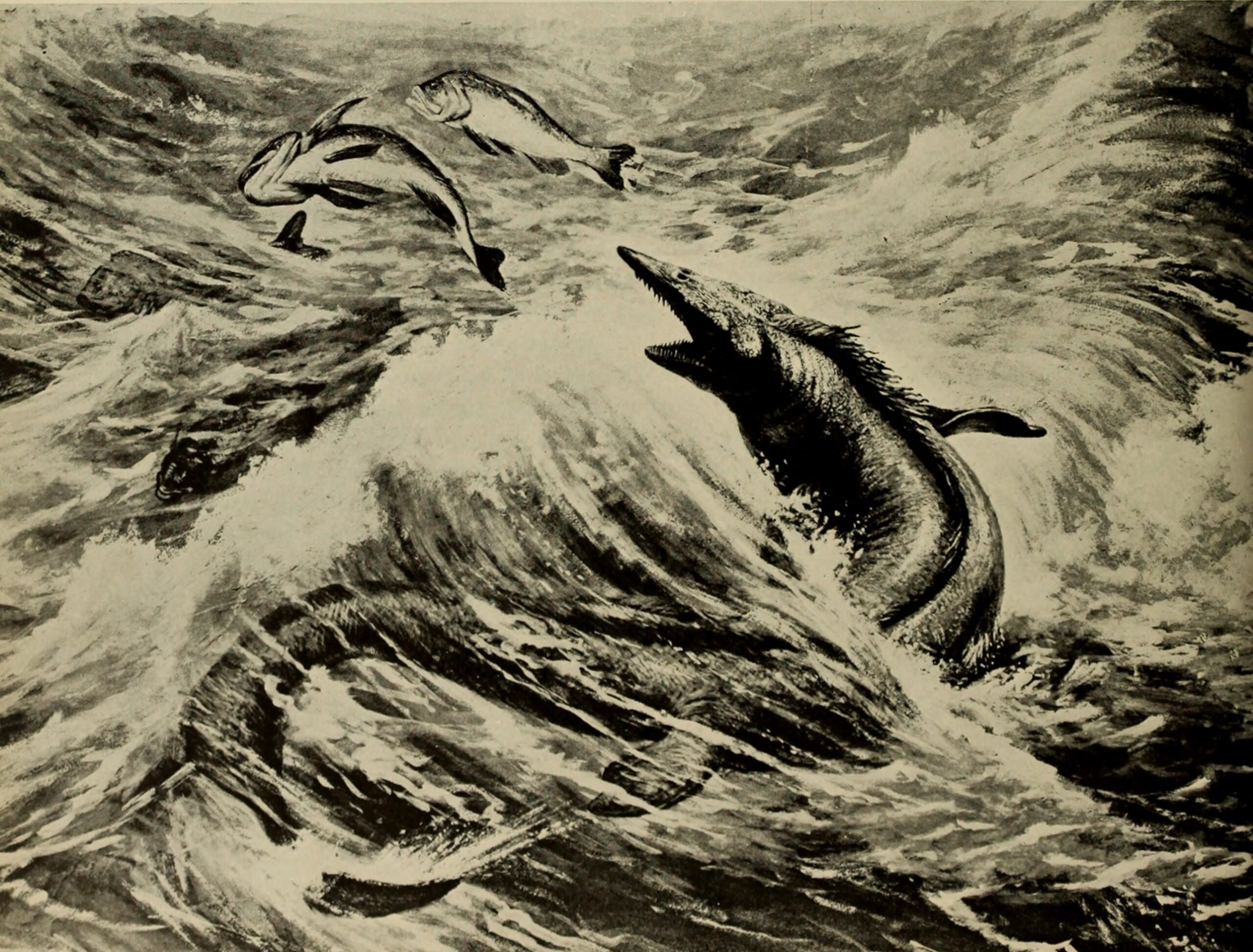 When Lizards Conquered the Seas (image credits: wikimedia)