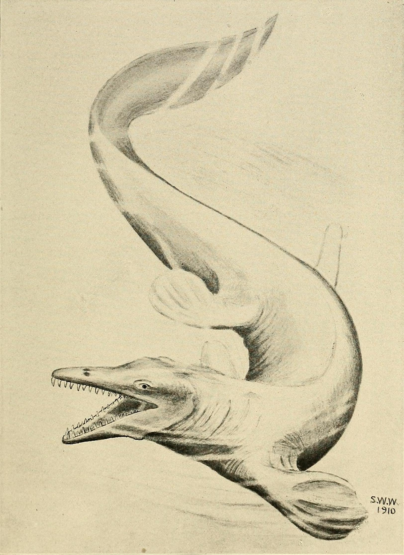 The Competition and Coexistence (image credits: wikimedia)
