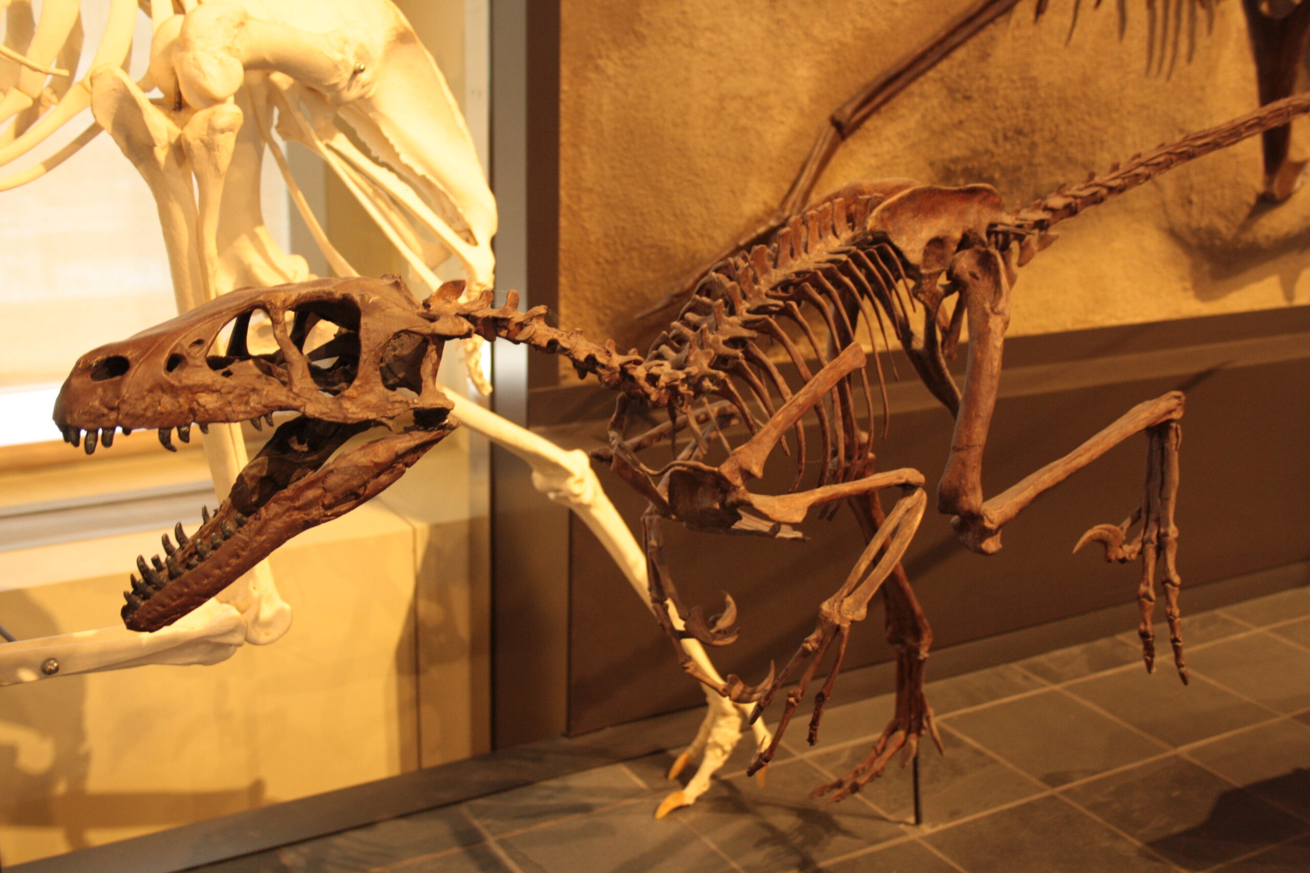 Speed Demons: Built for the Chase (image credits: wikimedia)