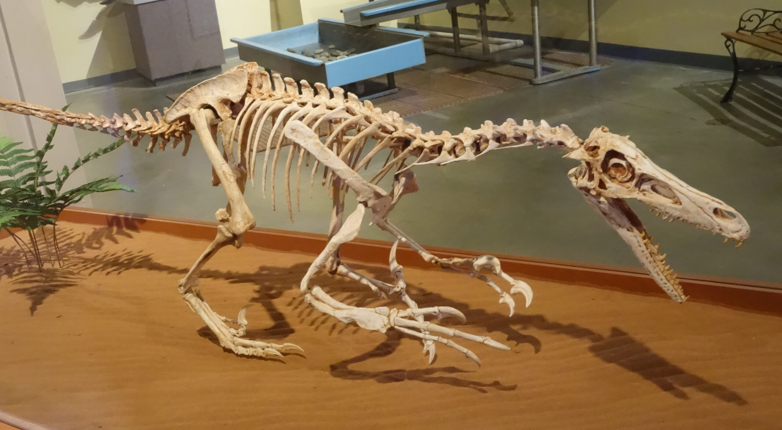 The Legacy of Terror: Impact on Ancient Ecosystems (image credits: wikimedia)