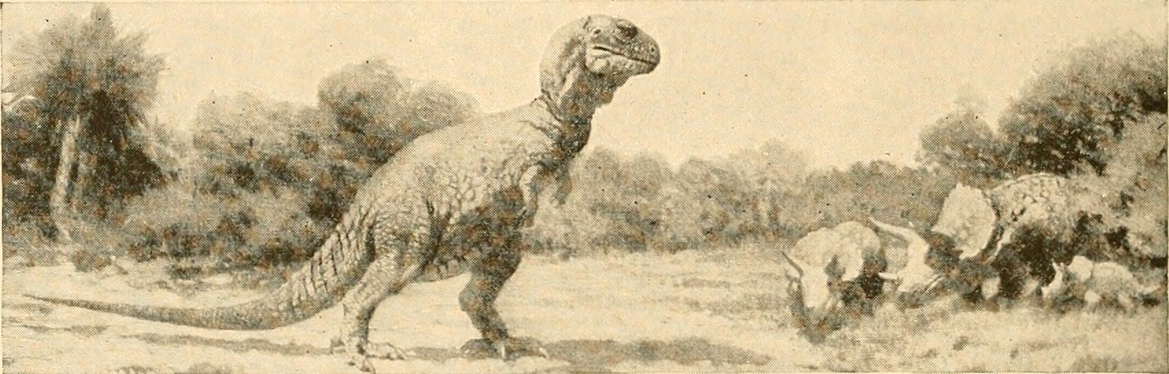 The Backwards Brain of Stegosaurus (image credits: wikimedia)
