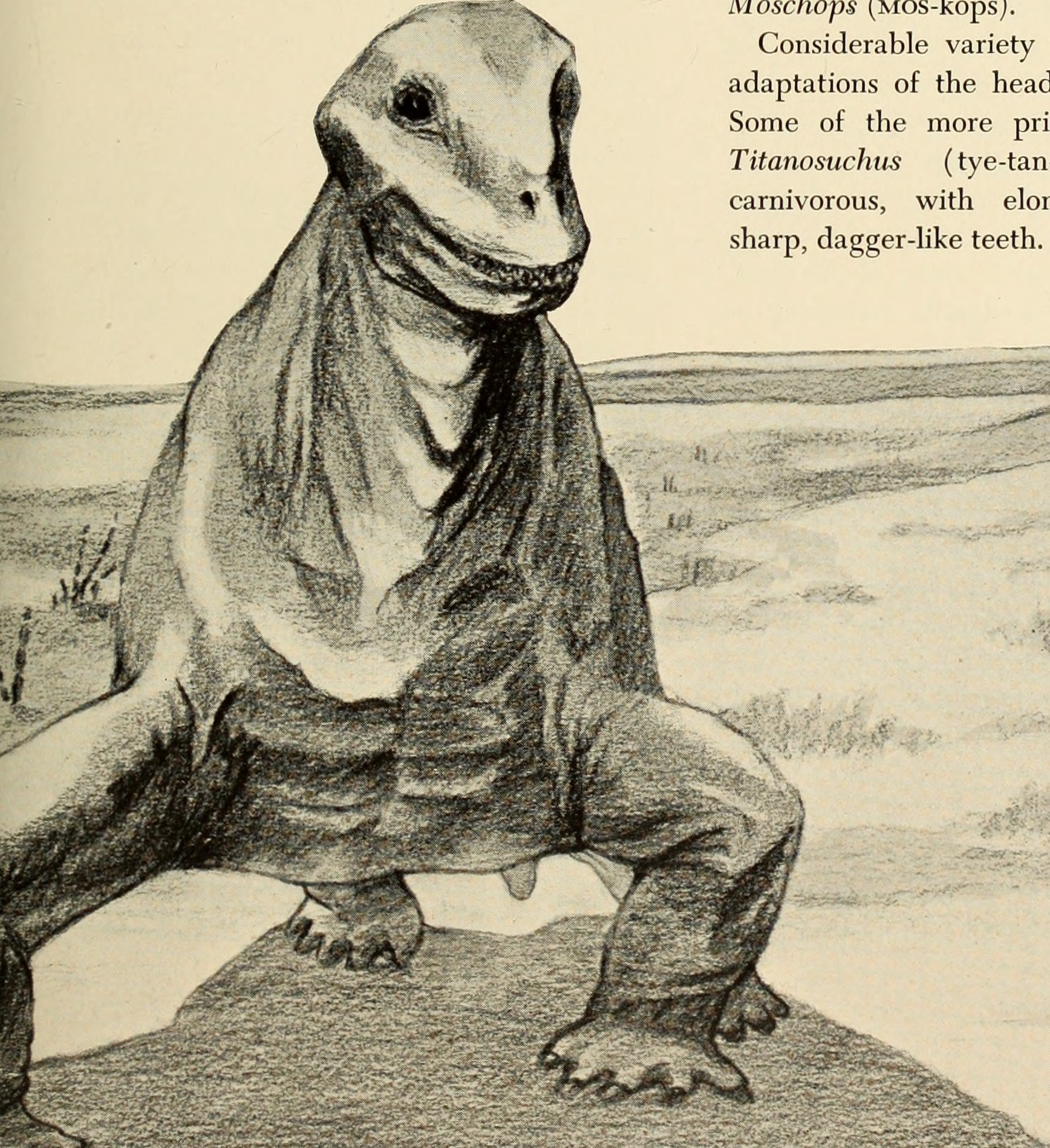 Solving the Giant Carnivore Puzzle (image credits: wikimedia)