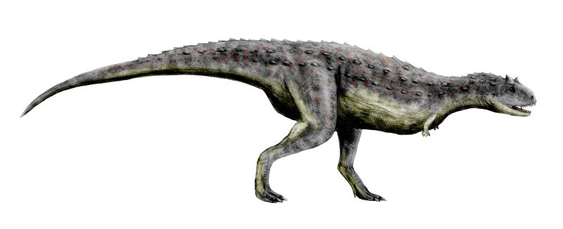 The Tiny Terror: Carnotaurus's Horned Nightmare (image credits: wikimedia)
