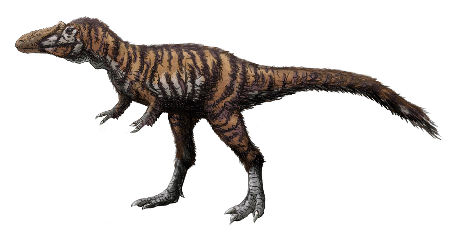 The Time Traveler: Qianzhousaurus's Evolutionary Surprise (image credits: wikimedia)