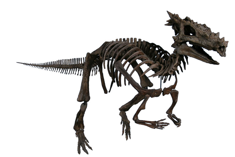 Cooperative Adventures in Prehistoric Worlds (image credits: wikimedia)