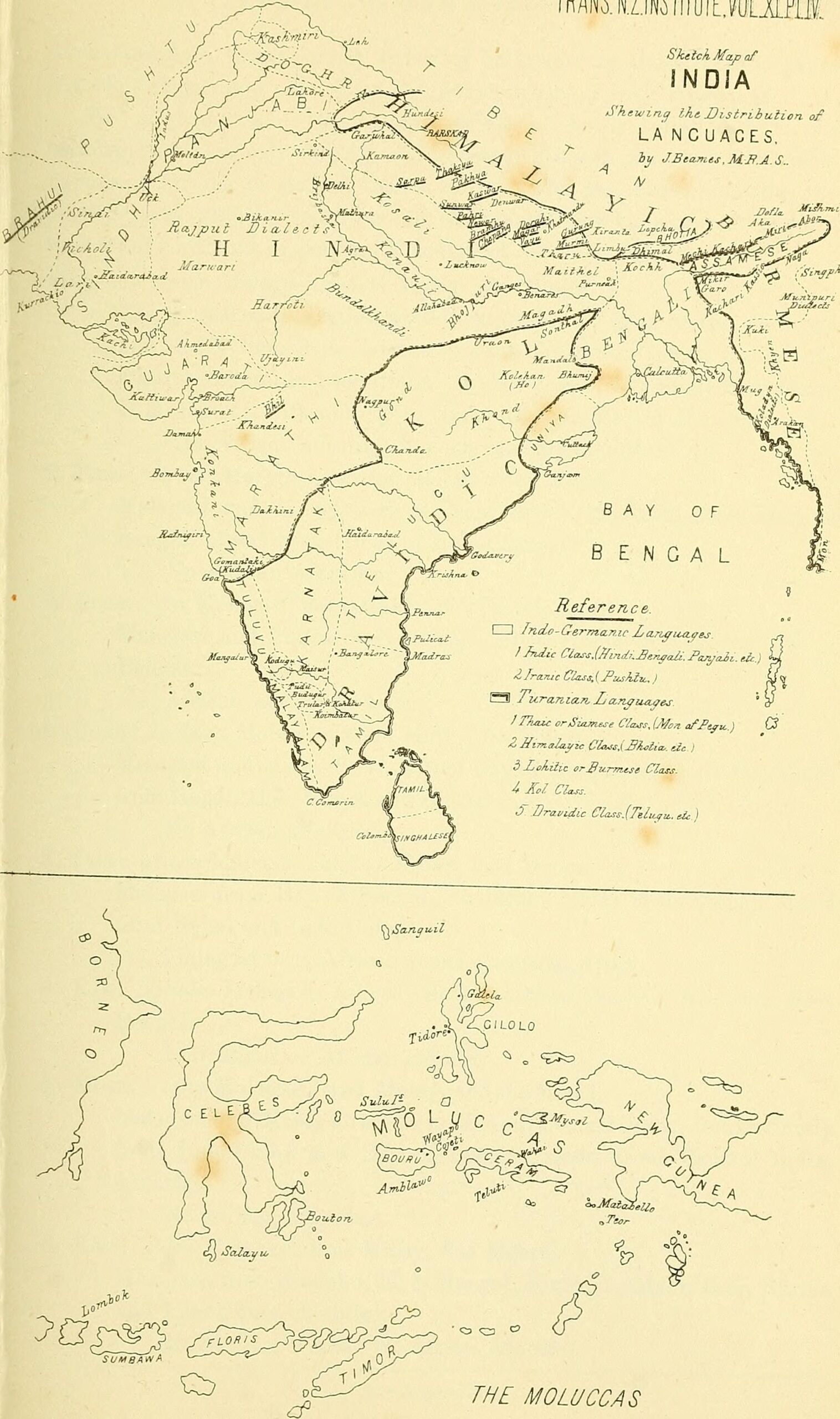 Continental Drift and Geographic Isolation (image credits: wikimedia)