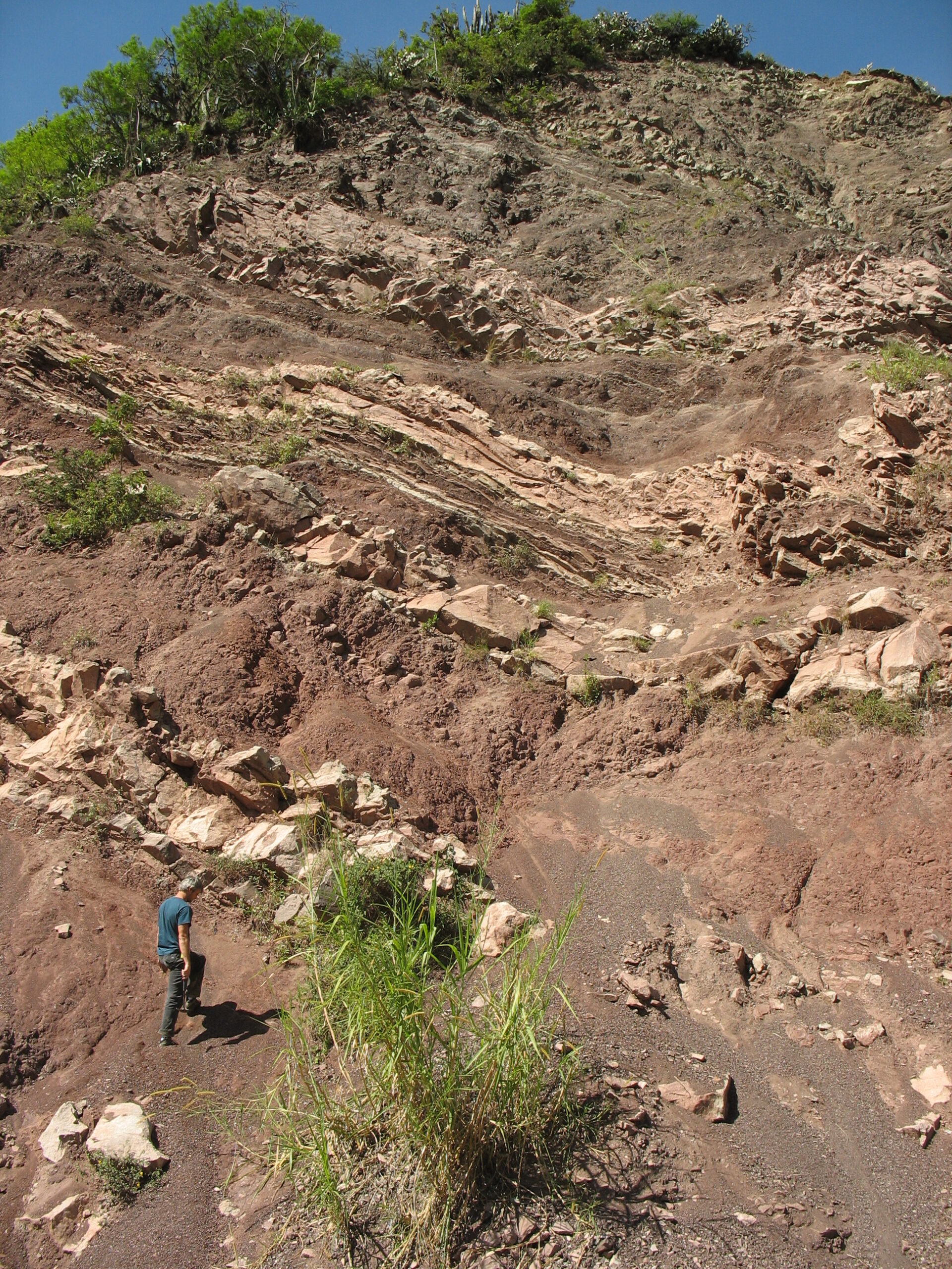 Breaking Apart: The Great Jurassic Separation (image credits: wikimedia)