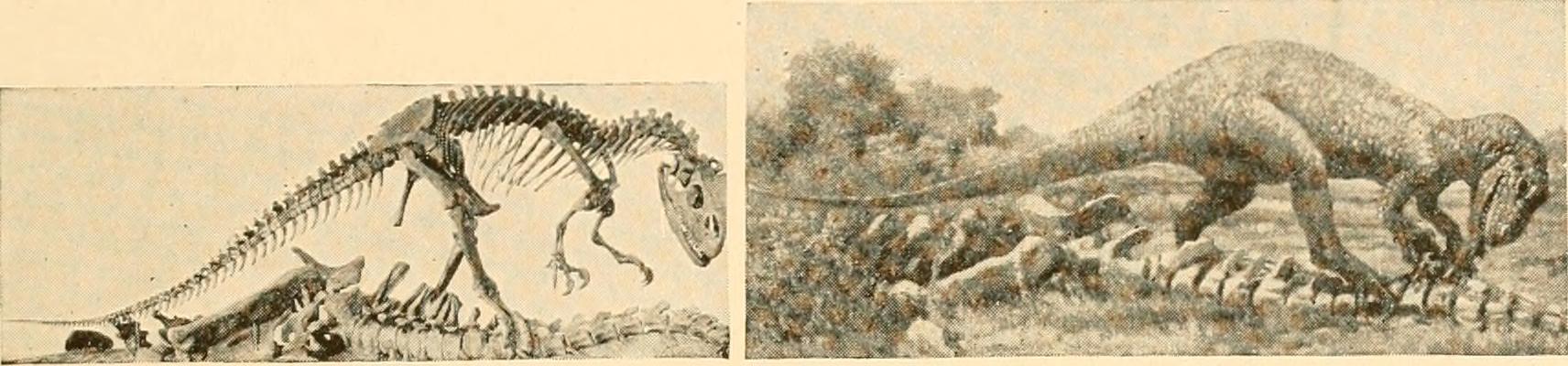 The Rise of Unique Continental Dinosaur Faunas (image credits: wikimedia)