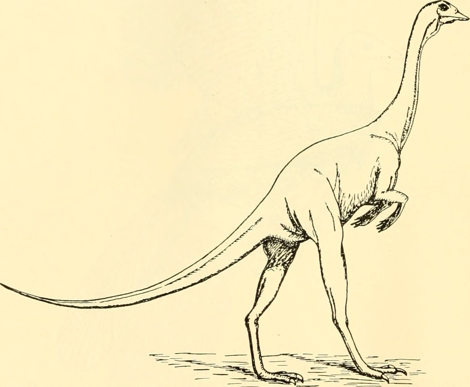 Nectar-Sipping Kulindadromeus: The Hummingbird Dinosaur (image credits: wikimedia)