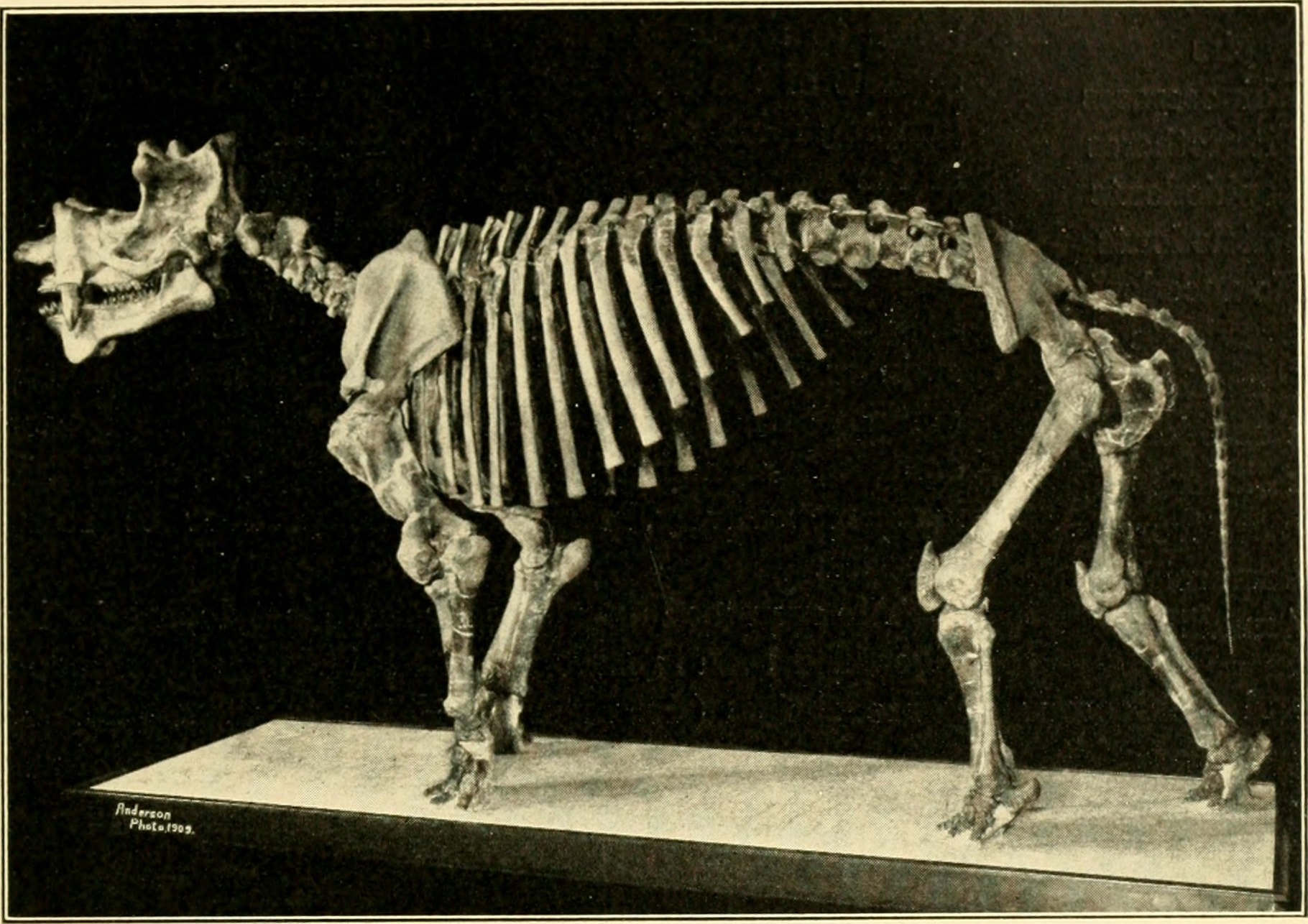 Conclusion (image credits: wikimedia)