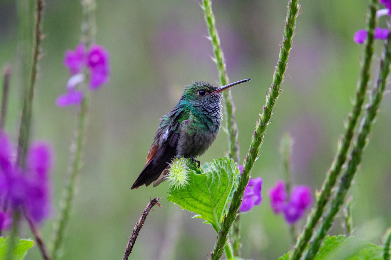 The Foundation of Modern Ecosystems (image credits: pixabay)