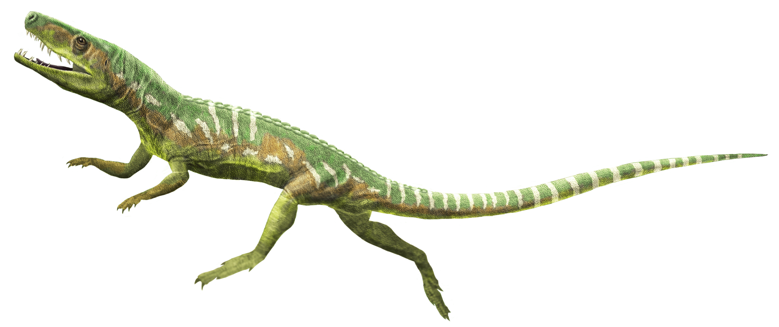 Enter the Archosaurs: The New Contenders (image credits: By Taenadoman, CC BY-SA 3.0, https://commons.wikimedia.org/w/index.php?curid=73111197)