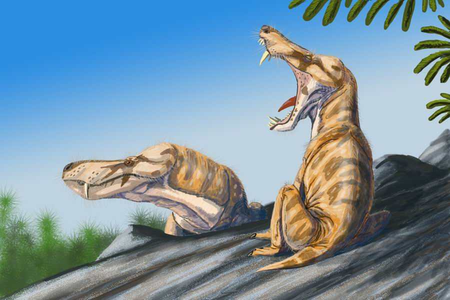 The Fate of the Synapsids (image credits: Russian Wikipedia, CC BY-SA 3.0, https://commons.wikimedia.org/w/index.php?curid=2458009)
