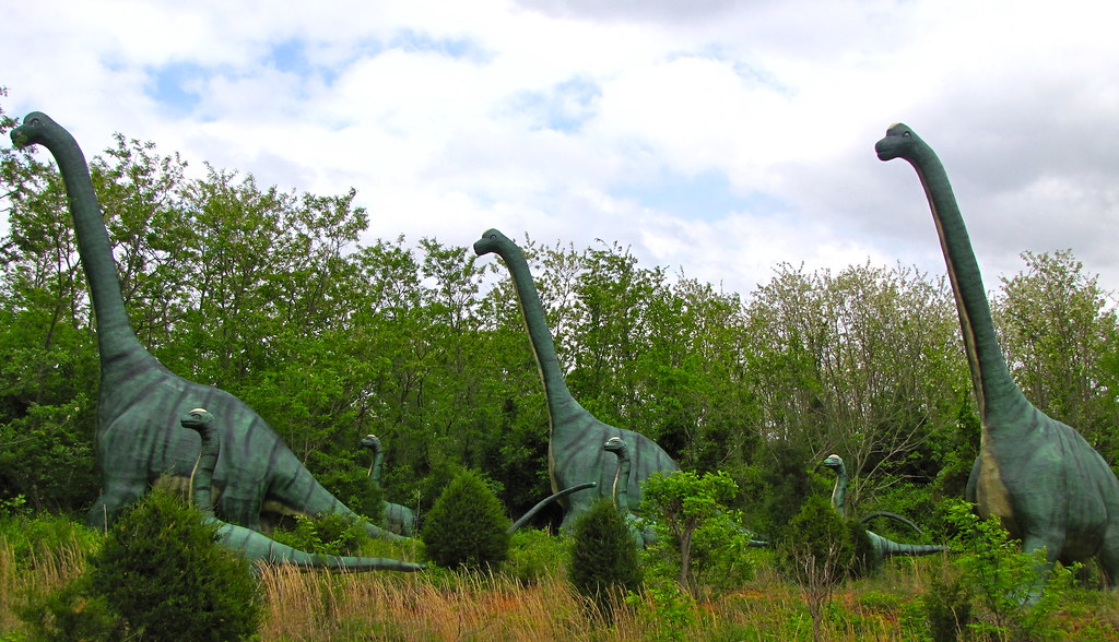 Dawn Awakening in the Jurassic Forest (image credits: flickr)