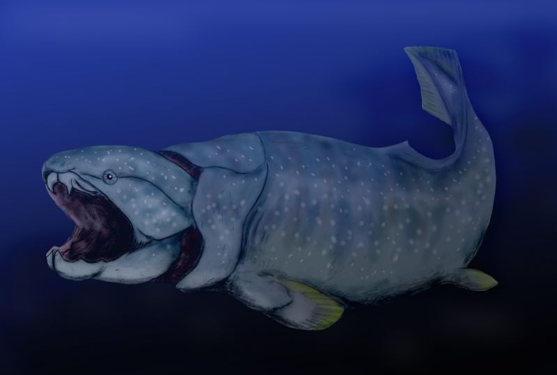 Dunkleosteus: The Armored Fish From Hell (image credits: By Nobu Tamura (http://spinops.blogspot.com), CC BY 3.0, https://commons.wikimedia.org/w/index.php?curid=19460006)
