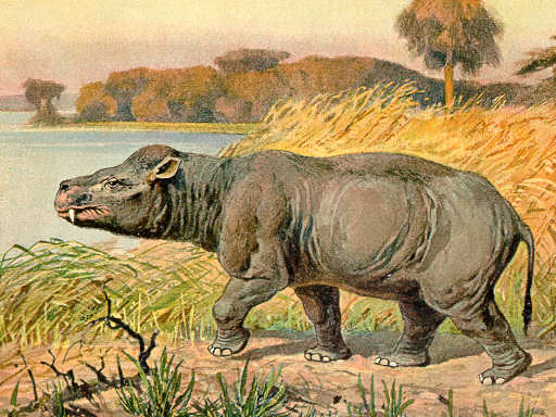 Coryphodon: The Hippo-Sized Plant Eater (image credits: By Heinrich Harder (1858-1935), Public domain, https://commons.wikimedia.org/w/index.php?curid=56571665)