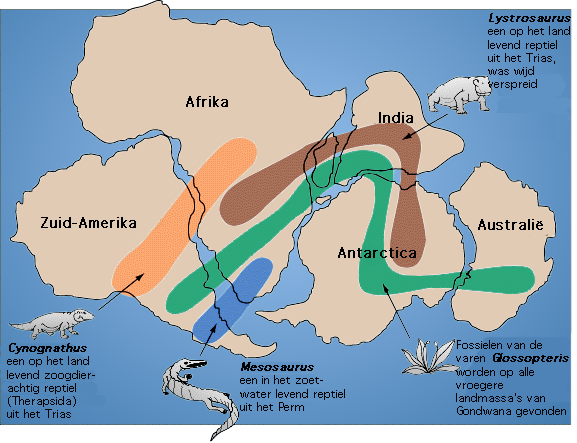 Continental Drift Speed Made Migration Impossible (image credits: wikimedia)