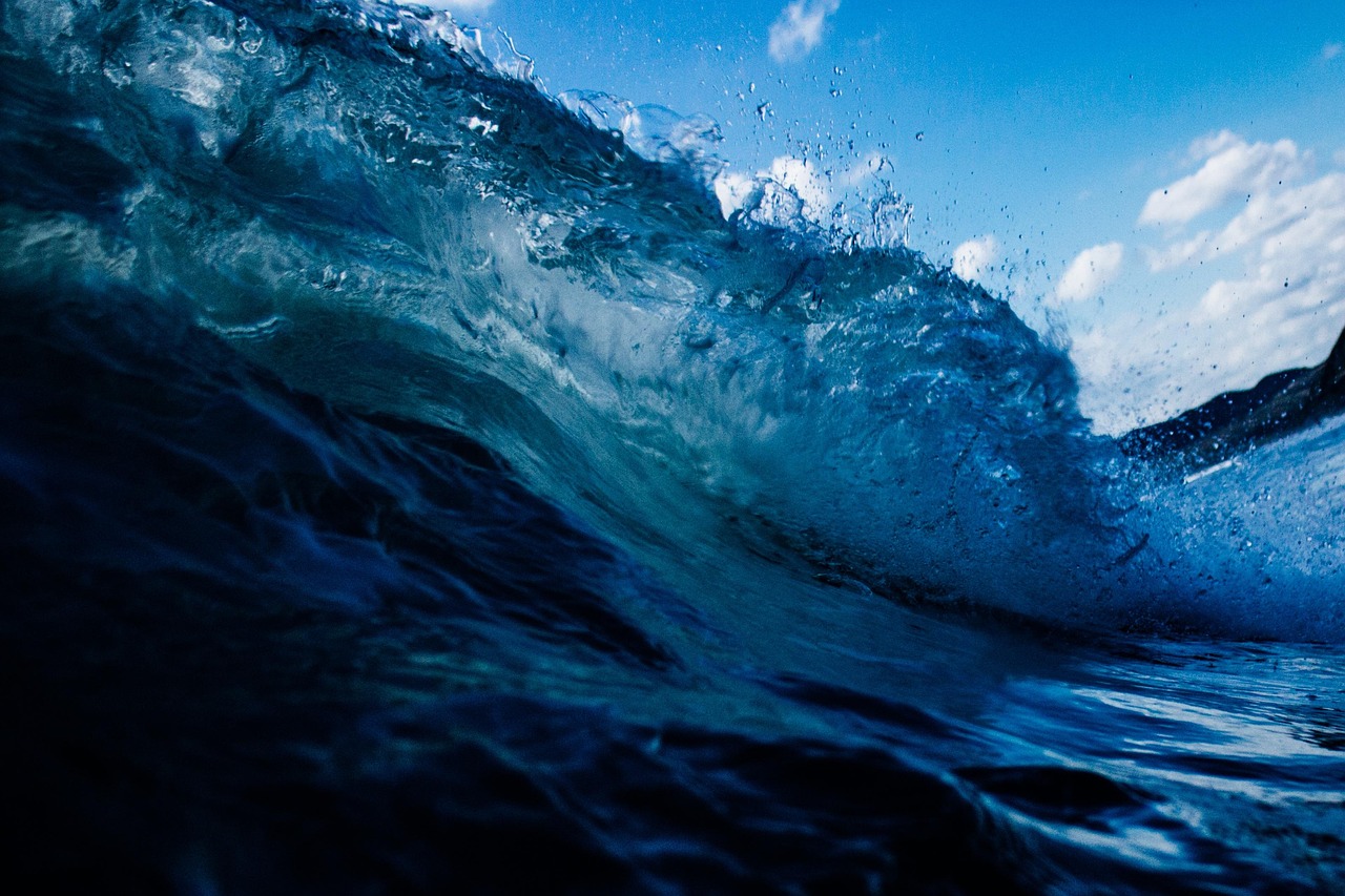 Ocean Currents: The Invisible Walls (image credits: pixabay)