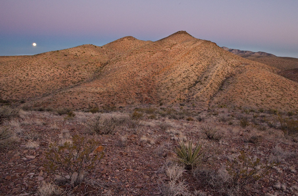 Desert Wanderers: Life in Prehistoric Arid Lands (image credits: flickr)