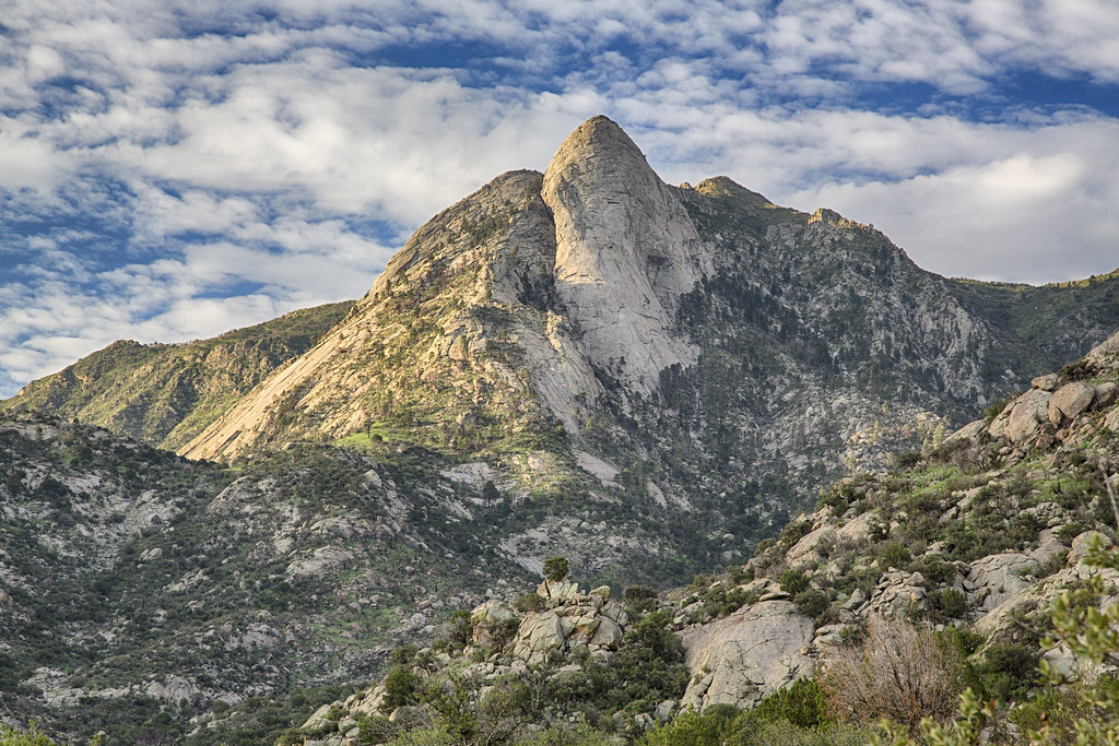 Mountain Fortresses: High-Altitude Dinosaur Communities (image credits: flickr)